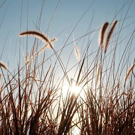 Willa Epos Imerovigli (Santorini)