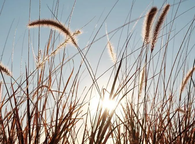 别墅 Epos 易莫洛林